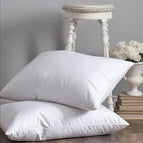 Terry Towel / Pillow Case